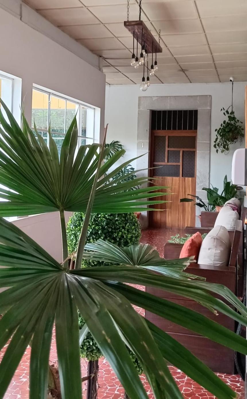 Hotel Mucha Quetzaltenango Extérieur photo